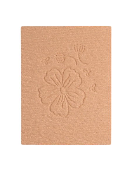 Συμπληρωματική Silky Compact Powder DYP 314 Bronzed Beige | EKIEKO