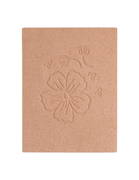 Recarga Polvos de Sol DYP 333 Cobre Dorado | EKIEKO