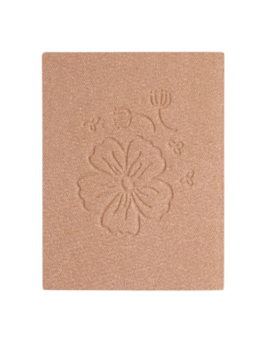 Recarga Polvos de Sol DYP 334 Bronce Dorado | EKIEKO