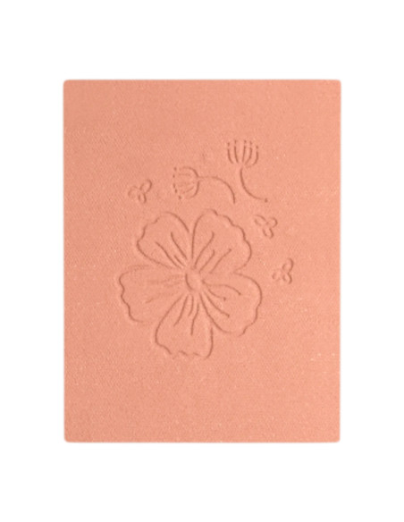 DYP 322 Satin Coral Blush Ricarica | EKIEKO