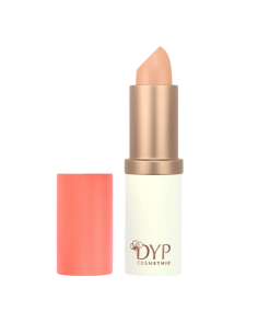 Corrector DYP 494 Orange 3.5 g | EKIEKO