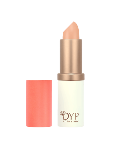 DYP 494 Correttore arancione 3,5 g | EKIEKO