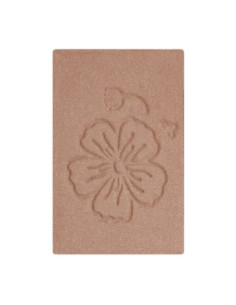 Recarga Sombra de Ojos DYP 117 Rosa Beige | EKIEKO