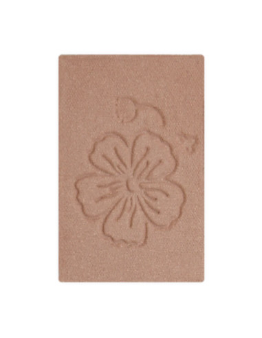 Recarga Sombra de Ojos DYP 117 Rosa Beige | EKIEKO