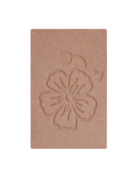 Recarga Sombra de Ojos DYP 117 Rosa Beige | EKIEKO