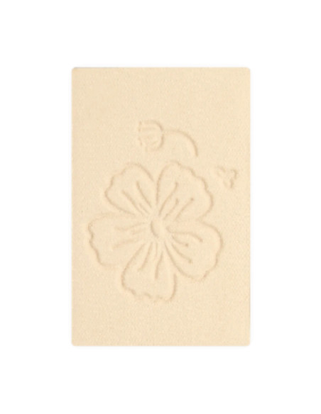 Recarga Sombra DYP 123 Beige Clásico | EKIEKO