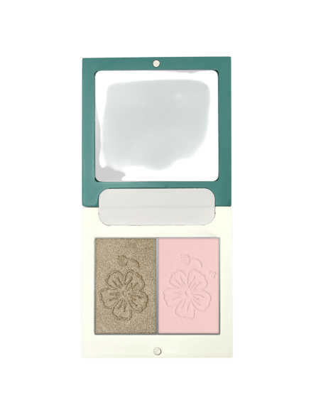 Dúo Sombras DYP 106 Gris Dorado / Rosa Claro | EKIEKO