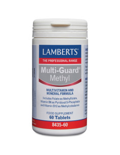 Multi-Guard Methyl 60comp Lamberts | EKIEKO