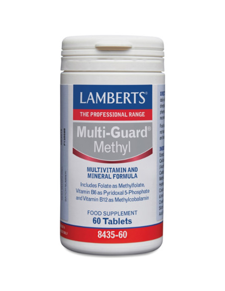 Multi-Guard Methyl 60comp Lamberts | EKIEKO