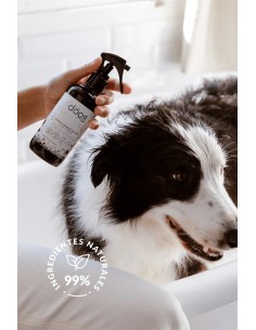 Lavender & Ylang Ylang 3 σε 1 Dog Mist | The Doog Life 2