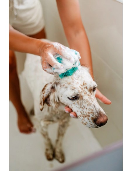 Escova de banho para cães com doseador de champô | The Doog Life