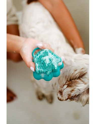 Brosse de bain pour chien avec distributeur de shampoing | The Doog Life