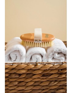 Bamboo brush for short haired dogs | The Dog Life