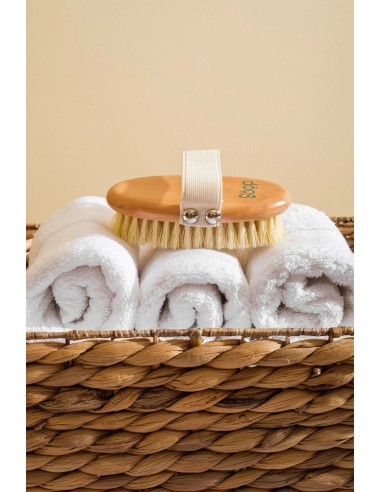 Bamboo brush for short haired dogs | The Dog Life