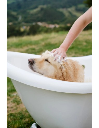 Luonnonmukainen bergamottishampoo 250 ml | The Dog Life