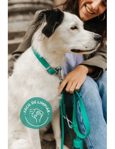 Wasserdichtes und bequemes Hundehalsband | The Dog Life