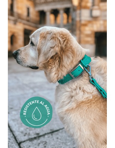 Αδιάβροχο και άνετο κολάρο σκύλου | The Dog Life