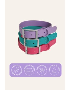 Wasserdichtes und bequemes Hundehalsband | The Dog Life