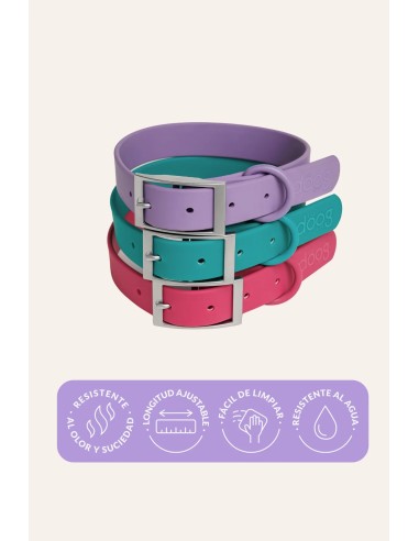 Collier pour chien imperméable et confortable | The Dog Life