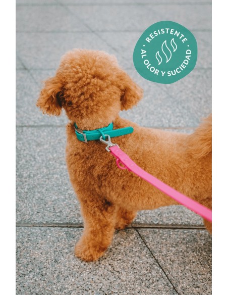 Collar waterproof para perros resistente y cómodo | The Dog Life