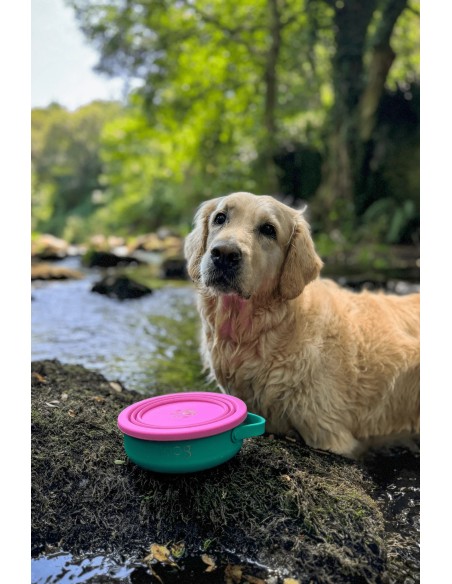 Ciotola portatile 2 in 1 per cibo e acqua per cani | The Dog Life