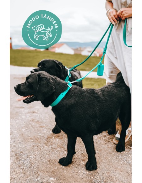 Waterproof and adjustable dog leash : The Dog Life