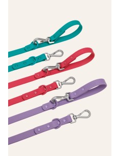 Waterproof and adjustable dog leash : The Dog Life