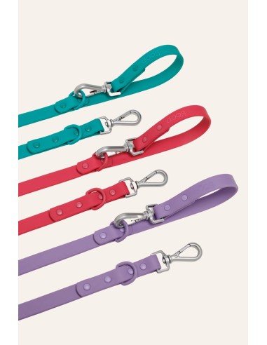 Waterproof and adjustable dog leash : The Dog Life