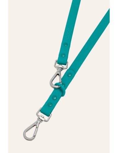 Laisse pour chien imperméable et réglable : The Dog Life