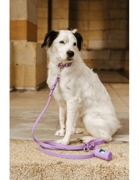 Wasserdichte und verstellbare Hundeleine : The Dog Life