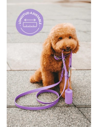 Vedenpitävä ja säädettävä koiran hihna : The Dog Life