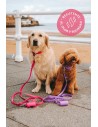 Trela impermeável e ajustável para cães : The Dog Life