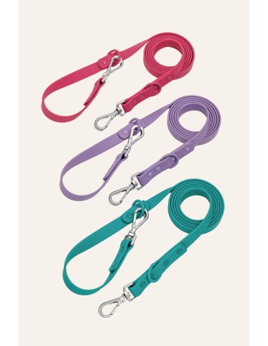 Laisse pour chien imperméable et réglable : The Dog Life