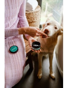 Natuurlijke tandpasta voor honden en katten | The Dog Life 2