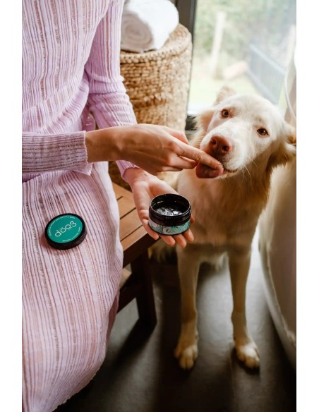 Luonnollinen hammastahna koirille ja kissoille | The Dog Life