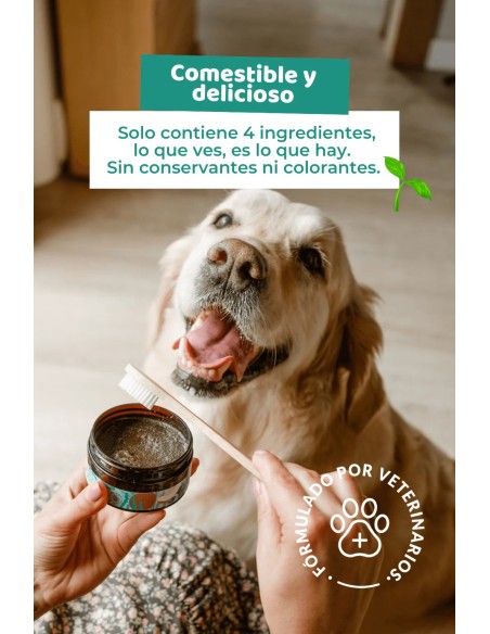 Pasta de dentes natural para cães e gatos | The Dog Life