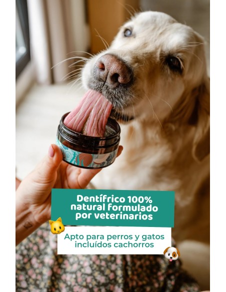 Natural toothpaste for dogs and cats : The Dog Life