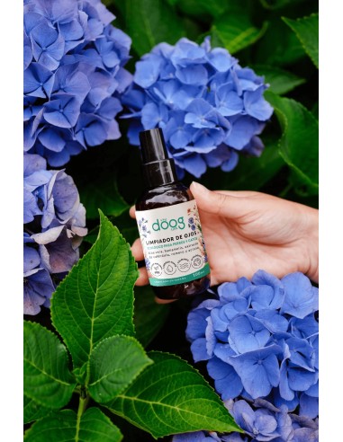 Nettoyant naturel pour les yeux des chiens et des chats | The Doog Life