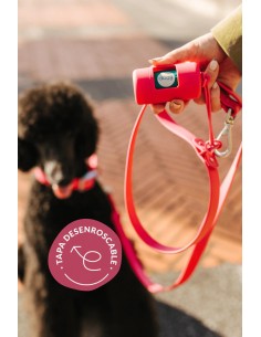 Porta-cães prático e cómodo | The Doog Life