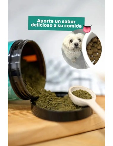 Supplément naturel pour la peau et les poils des chiens et des chats : The Doog Life