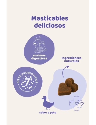 Natural digestive supplement for dogs and cats : The Doog Life