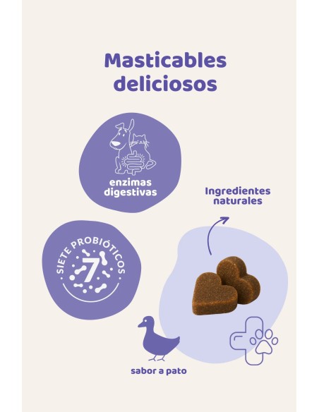 Natural digestive supplement for dogs and cats : The Doog Life