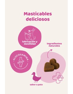 Natuurlijk gewrichtssupplement voor honden en katten | The Doog Life 2