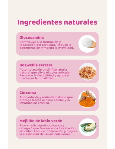 Suplemento natural para as articulações de cães e gatos | The Doog Life