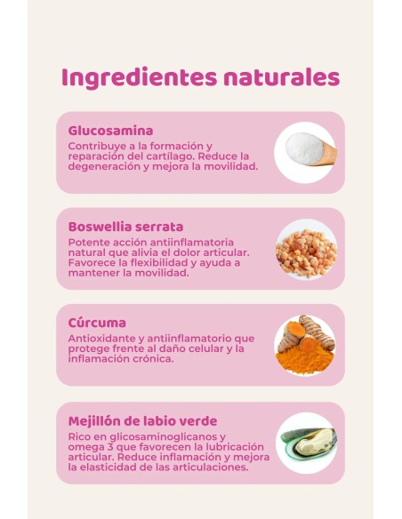 Supplément naturel pour les articulations des chiens et des chats | The Doog Life