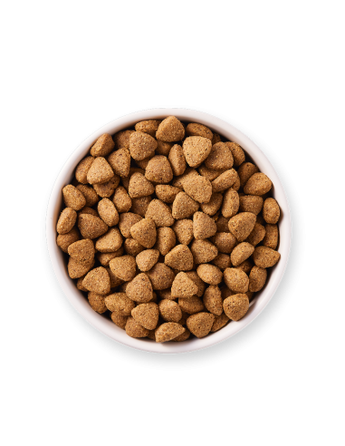 Pienso Perro Vegetariano Bio Vegan 2kg | Yarrah