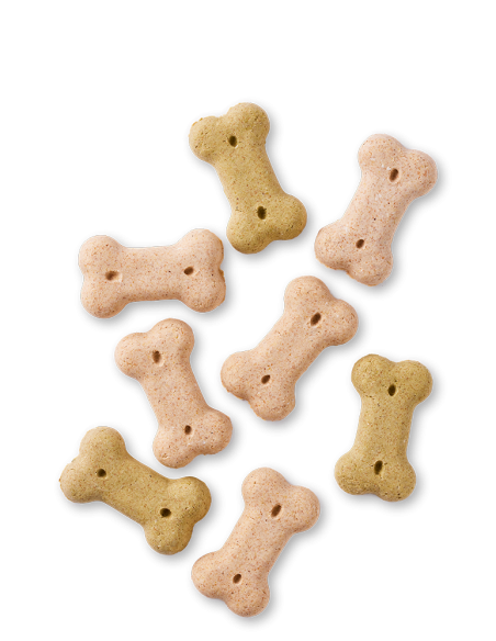 Multi Biscuits Dogs Bio Vegan 250g | Yarrah