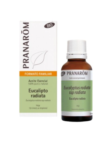 Essential Oil Eucalyptus Radiata Bio 30 ml Pranarôm | EKIEKO